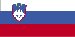 slovenian Alaska - Назва держави (філія) (сторінка 1)